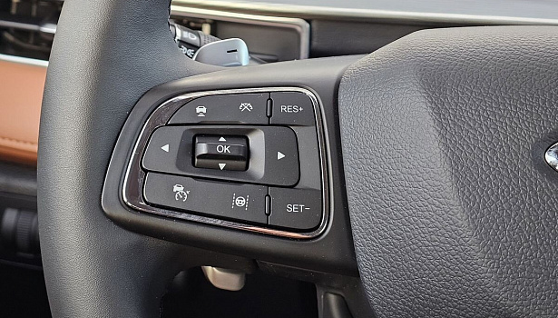 Tiggo 8 Pro Max Ultimate 2.0 AMT 4WD (197 л.с.) фото 17